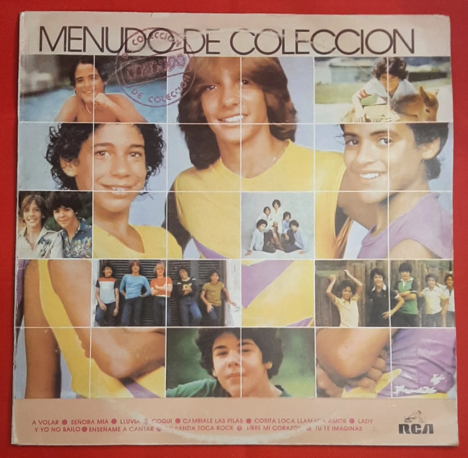 Vinilo Menudo